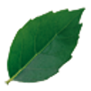 jpteayudaPE