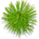 SoNtRoNiK
